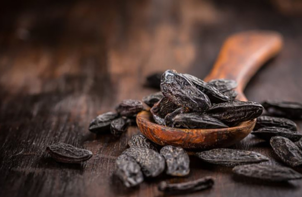 How to Use Tonka Beans in Your Witchcraft Practice